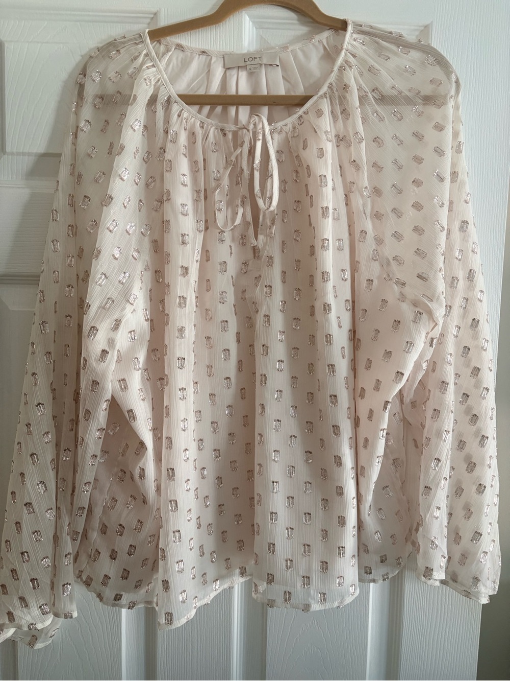LOFT Light Blush Sheer Peasant Blouse with Metallic Accents